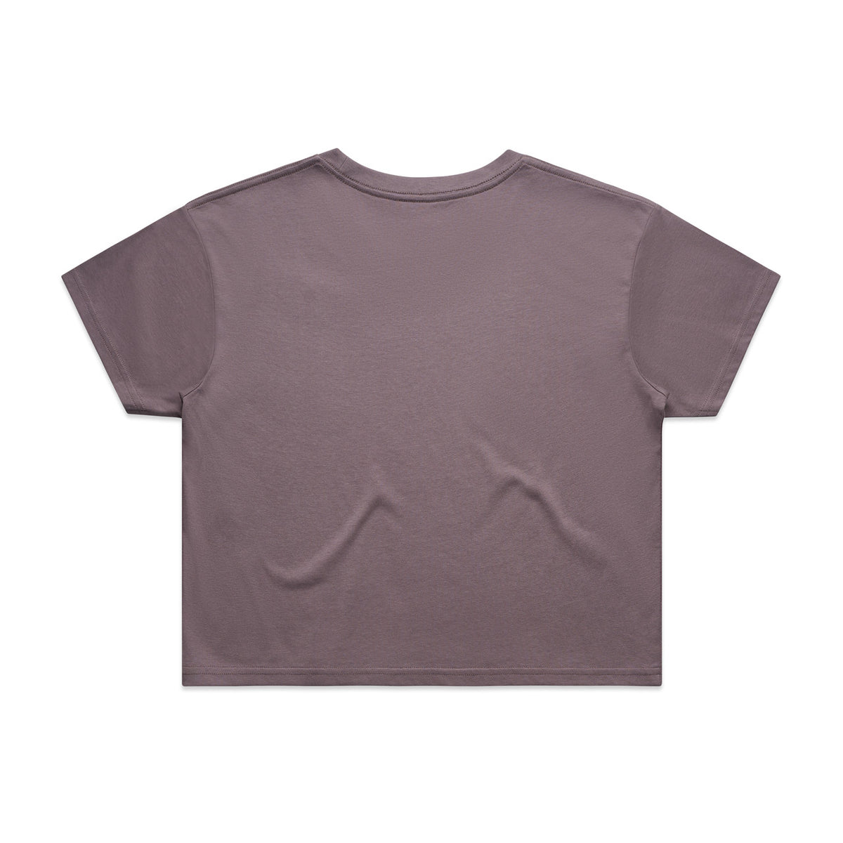 Wo's Faded Crop Tee 4062FS - Faded Mauve - Back