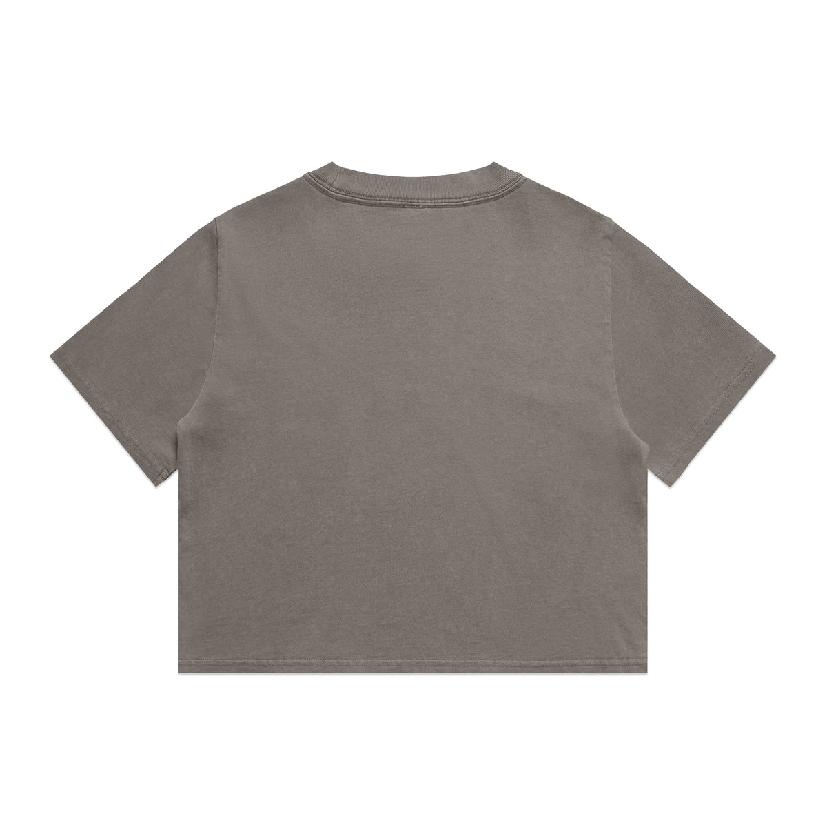 Wo's Heavy Faded Crop Tee 4089 - Faded Grey - Back