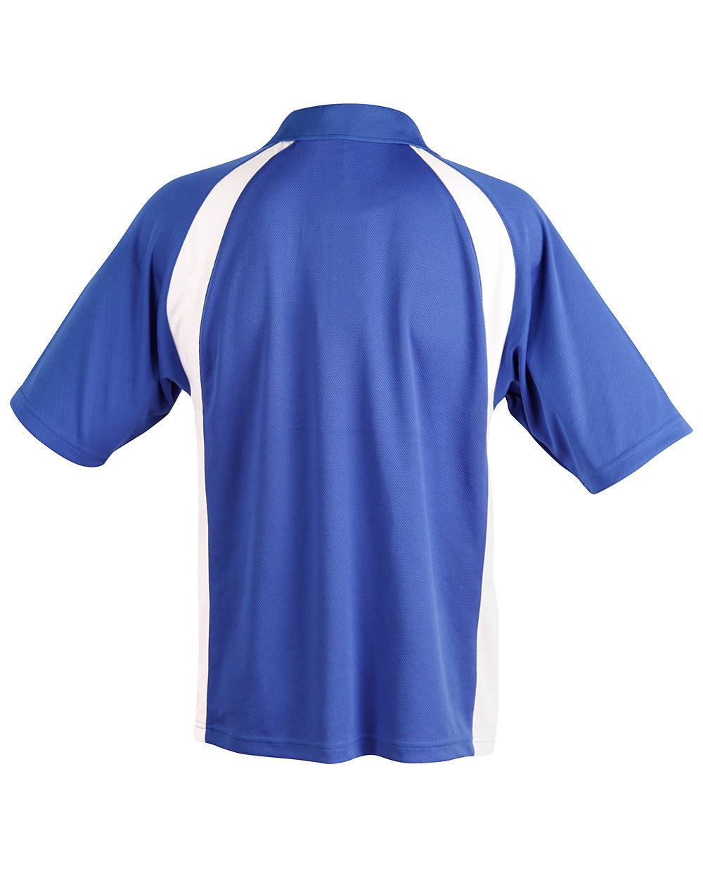 Athens Sport - Royal/White - Back