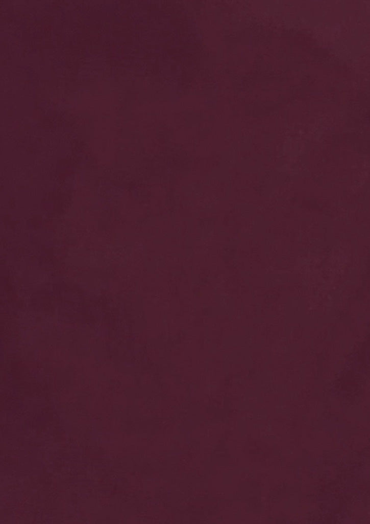 Hudson Womens Long Sleeve Shirt - Wine - View