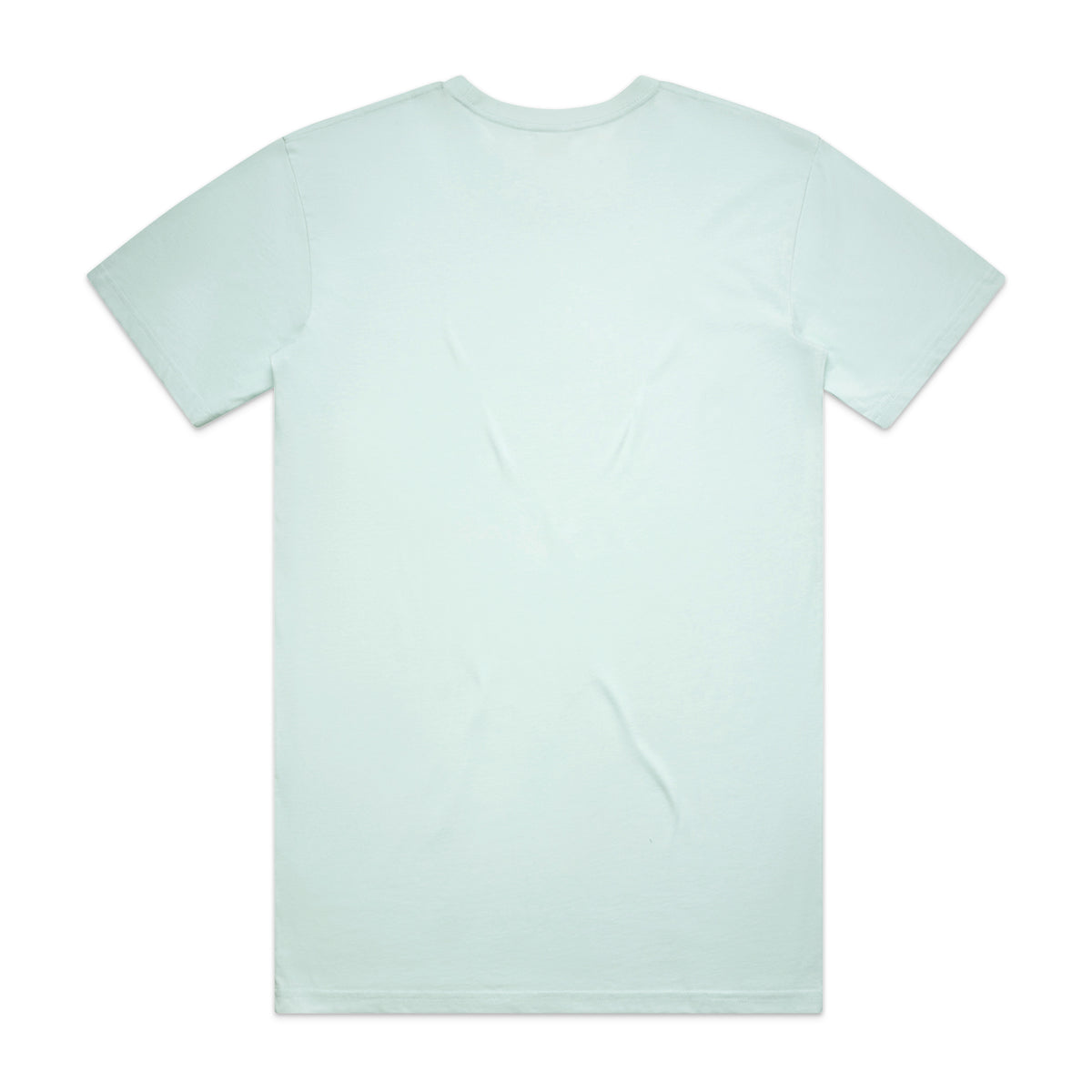 Basic Tee 5051 - Seafoam - Back