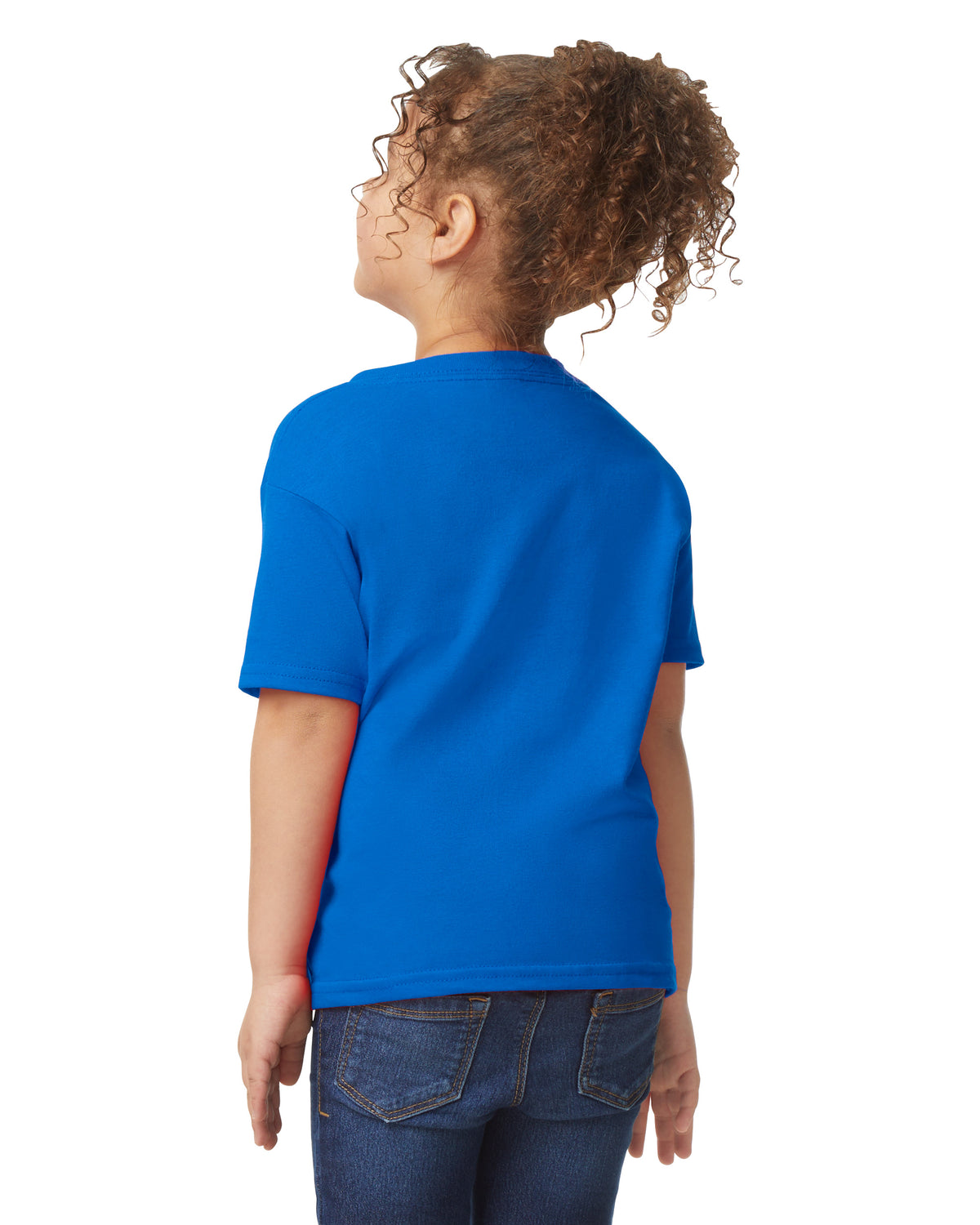 Gildan Heavy Cotton 5100P T-Shirt - Royal - Back