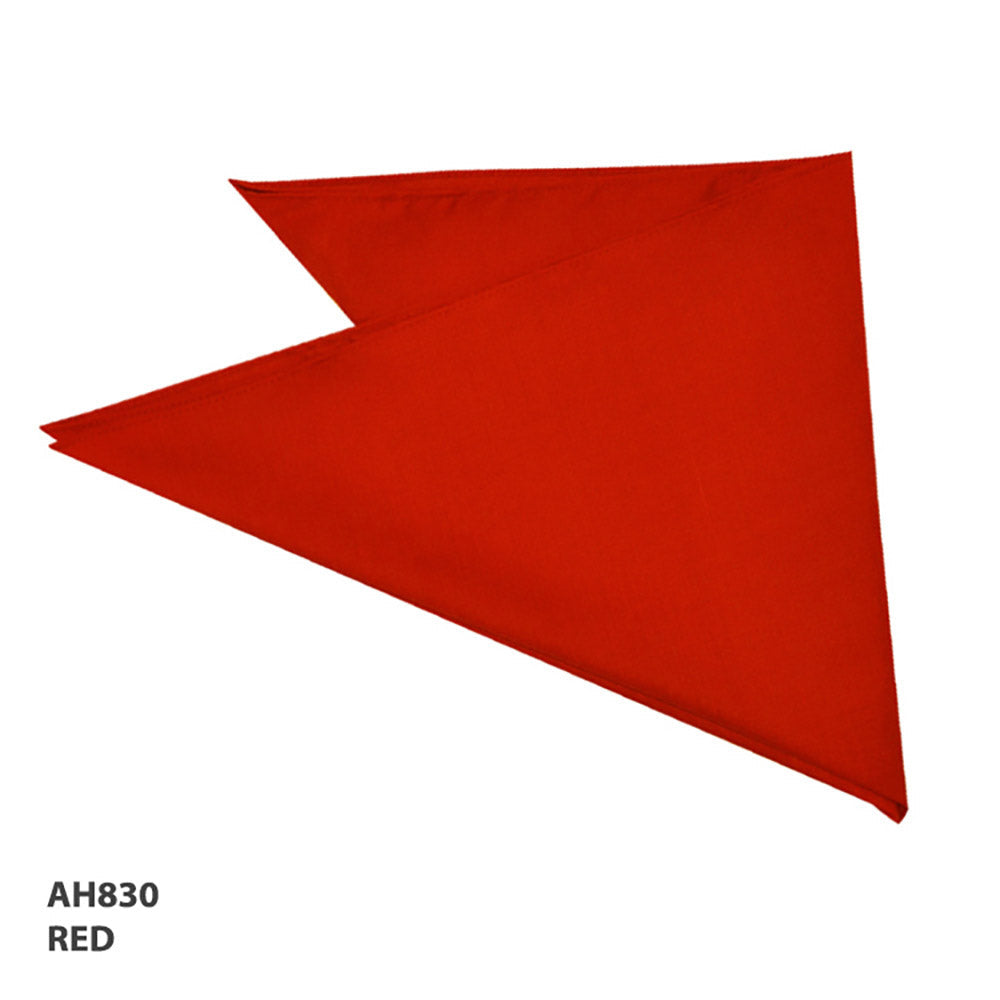 Bandanna – Grace Collection AH830