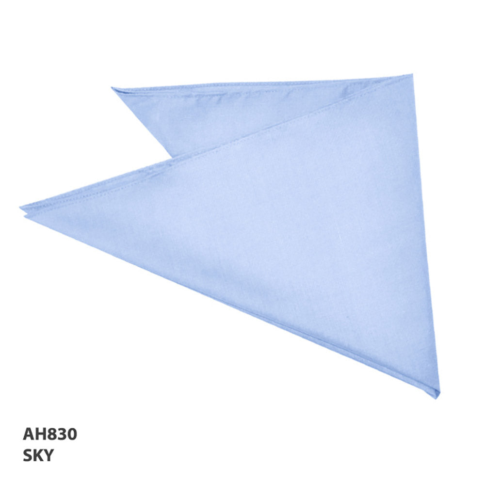 Bandanna – Grace Collection AH830