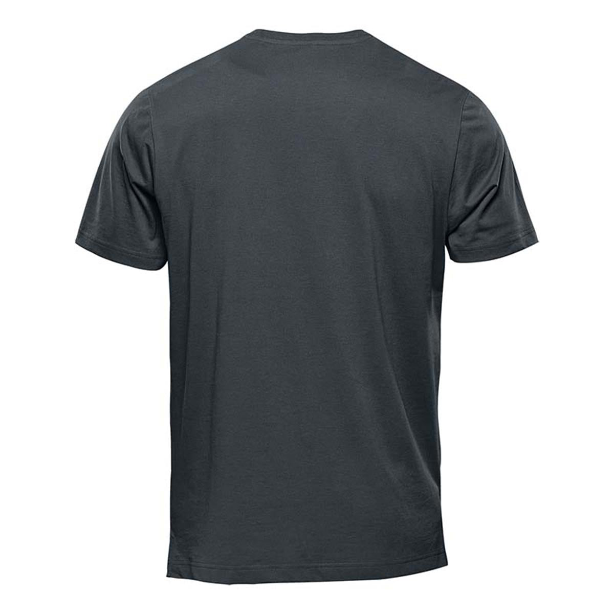 Men's Equinox Short Sleeve Tee - Dolphin - Back
