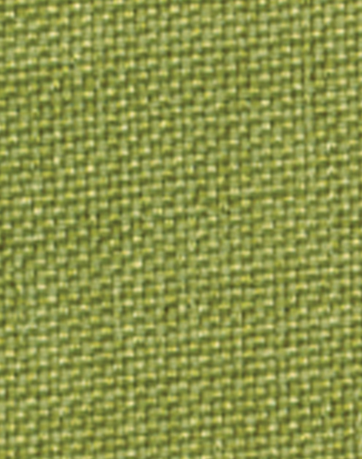 Women's CoolDry 3/4 Sleeve Shirt - Avocado - Front
