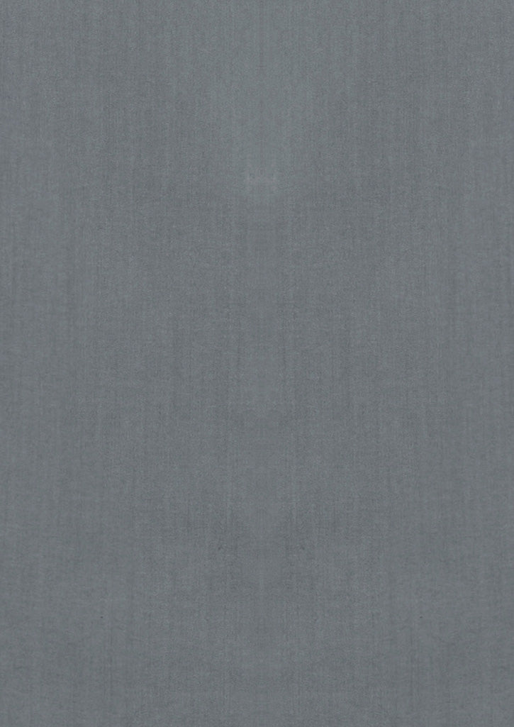 Monaco Mens Long Sleeve Shirt - Platinum - View