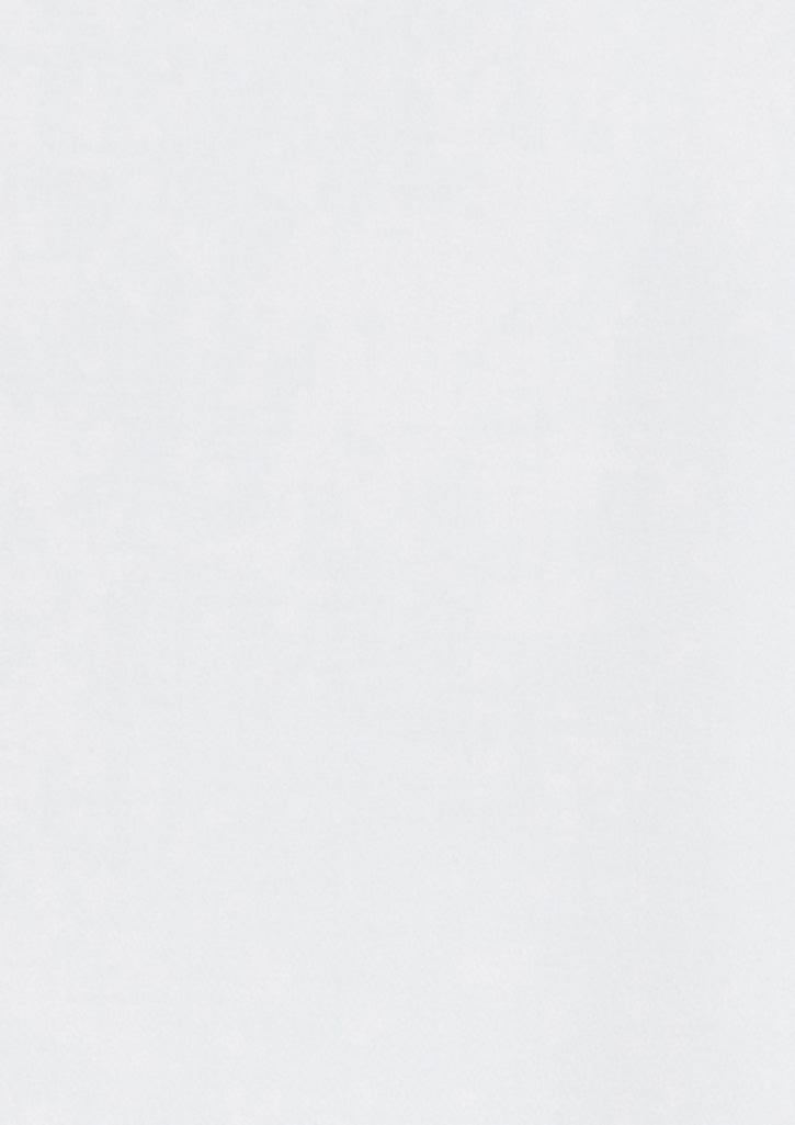 Regent Womens Long Sleeve Shirt - White - View