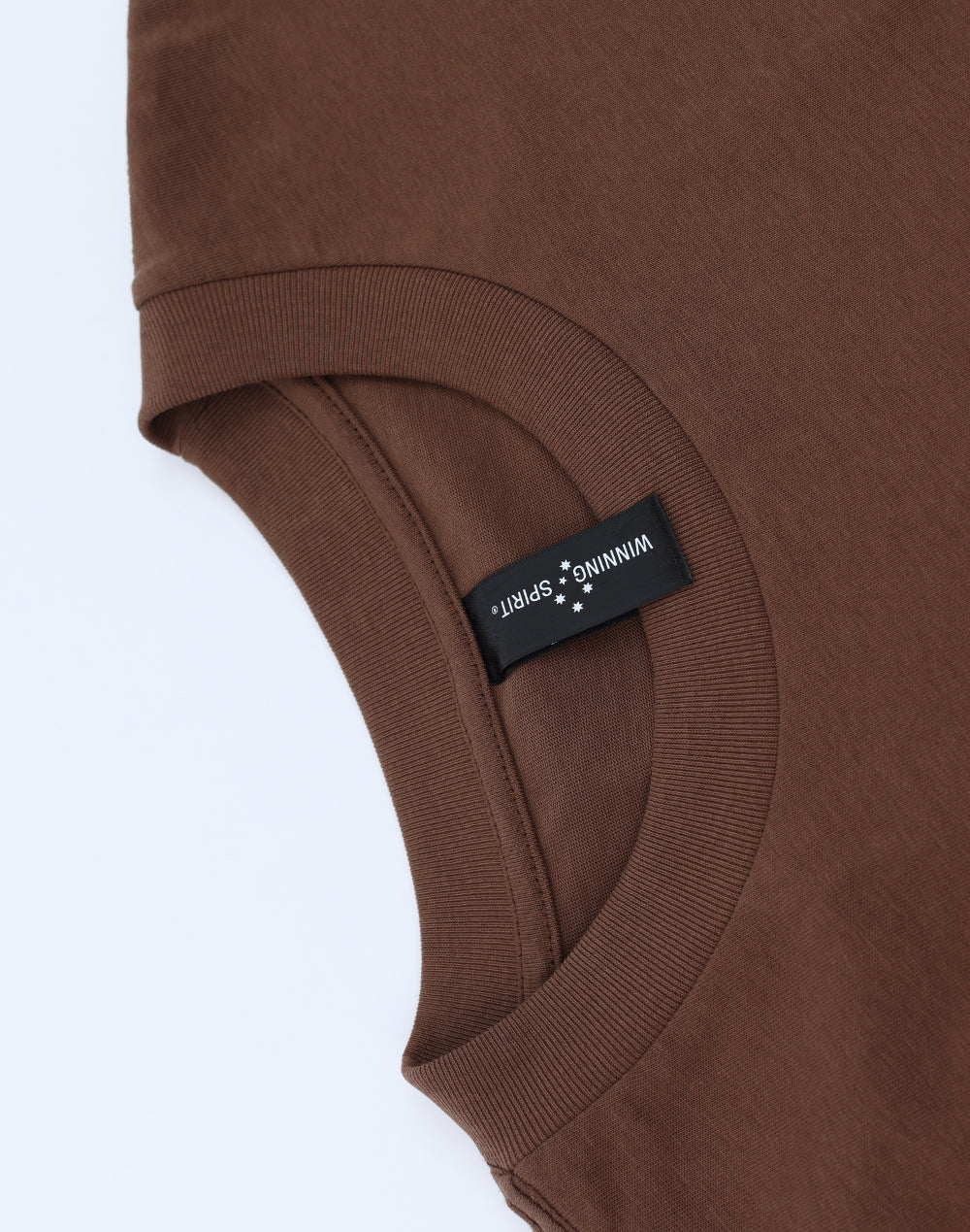 Unisex Heavy Cotton Oversized Tee - Walnut - View