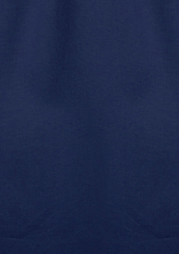 Womens Lightweight Tradie Long Sleeve Shirt - Blue - View