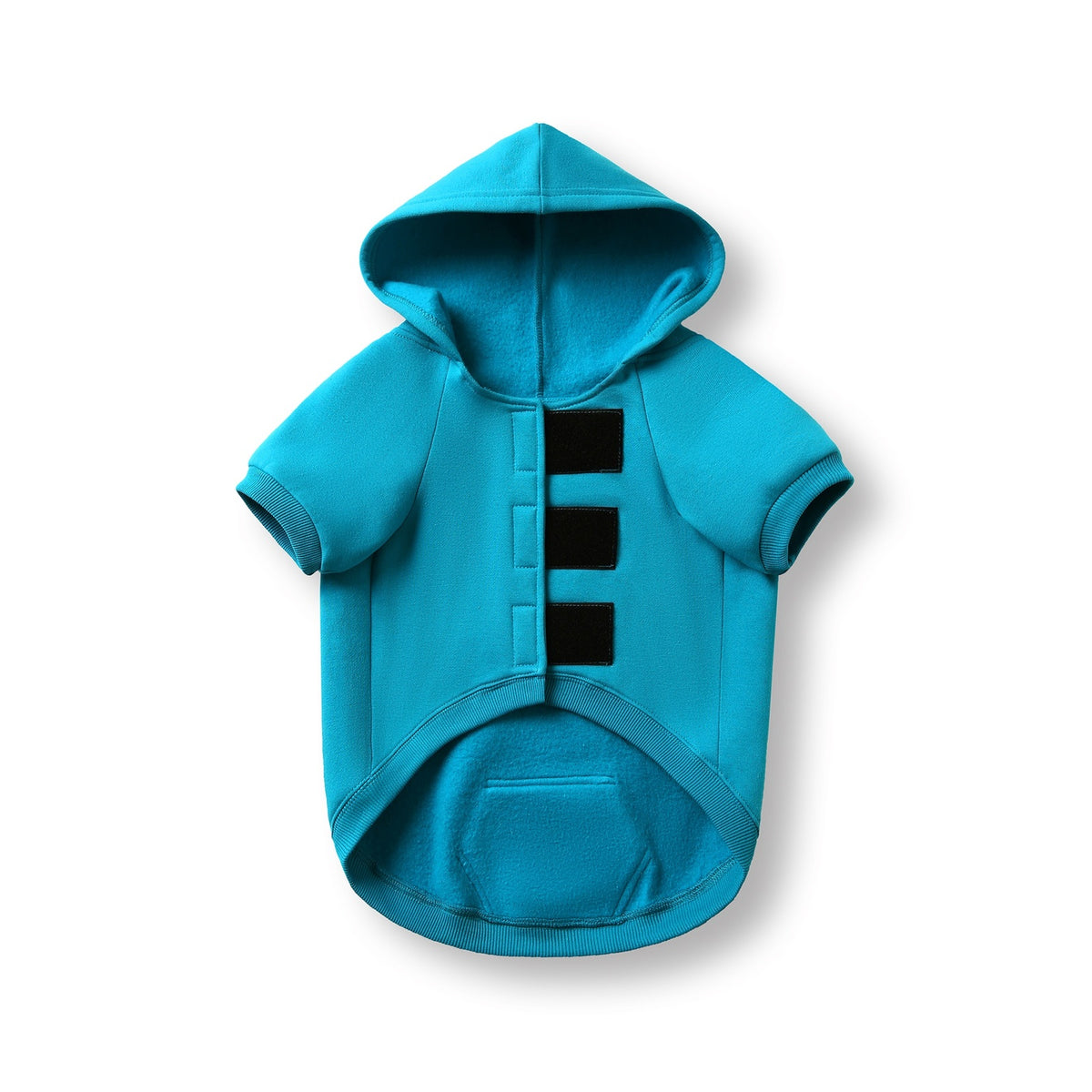 dog hoodies - Azure - Front