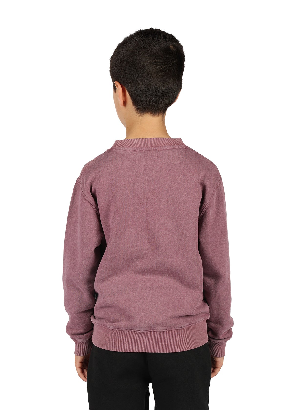 Kids' Stone Wash Sweatshirts - view