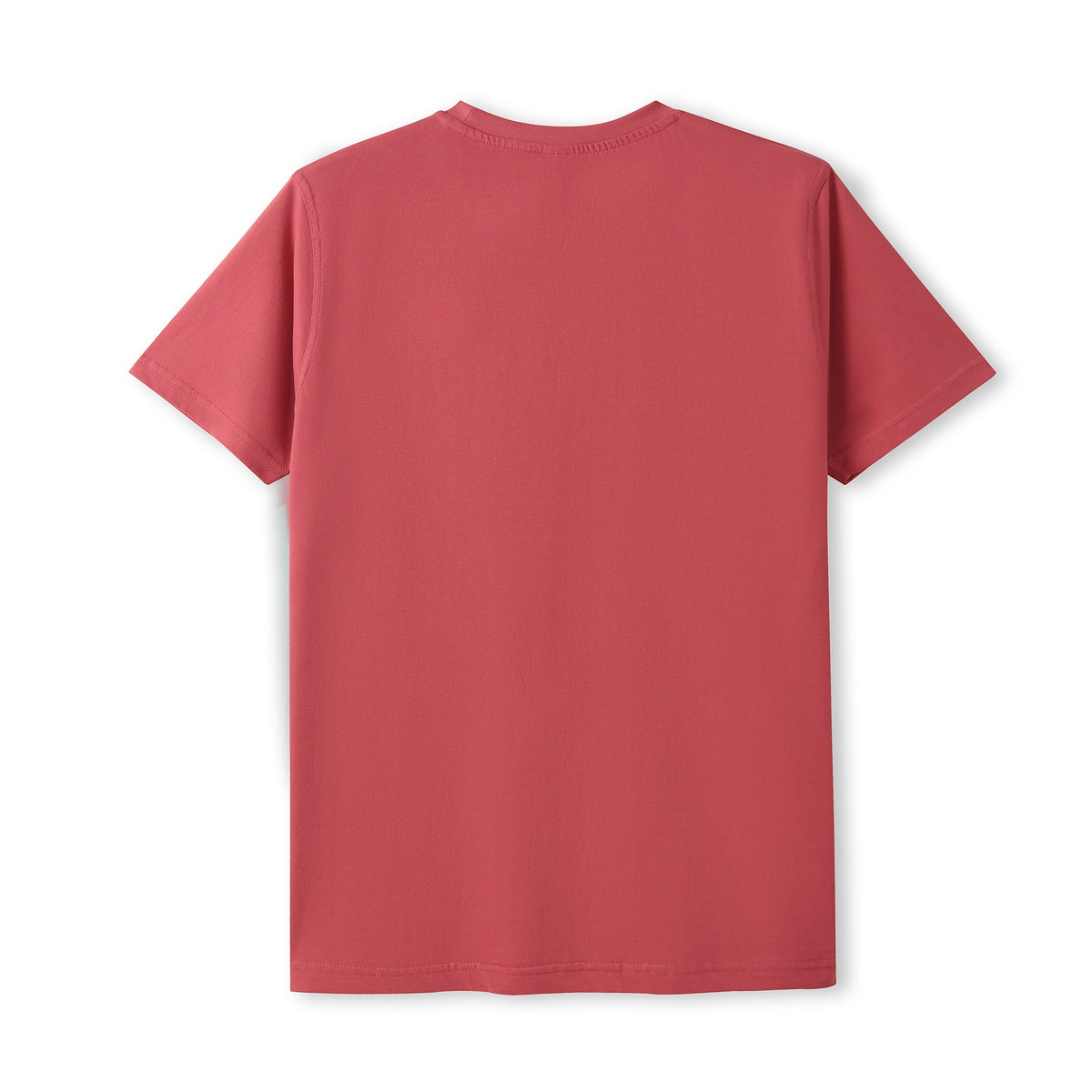 Men's / Unisex Modern Fit Tee - Earth - Back