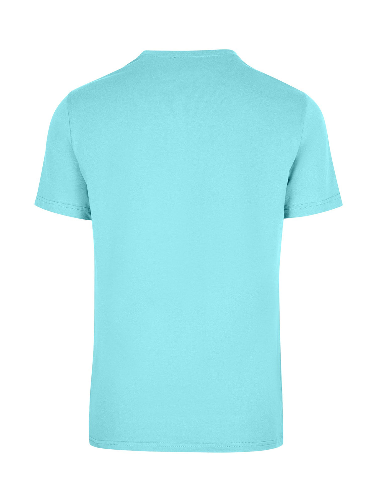Men's / Unisex  American Style t-shirt - Aqua - Back