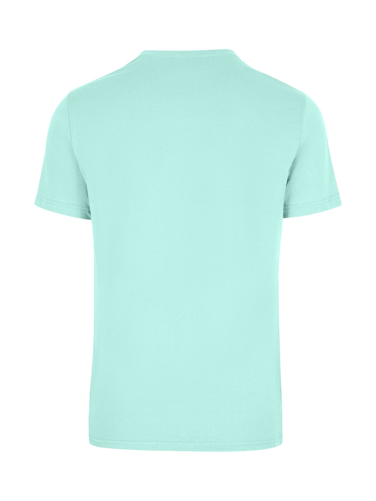 Men's / Unisex  American Style t-shirt - Fresh Mint - Back