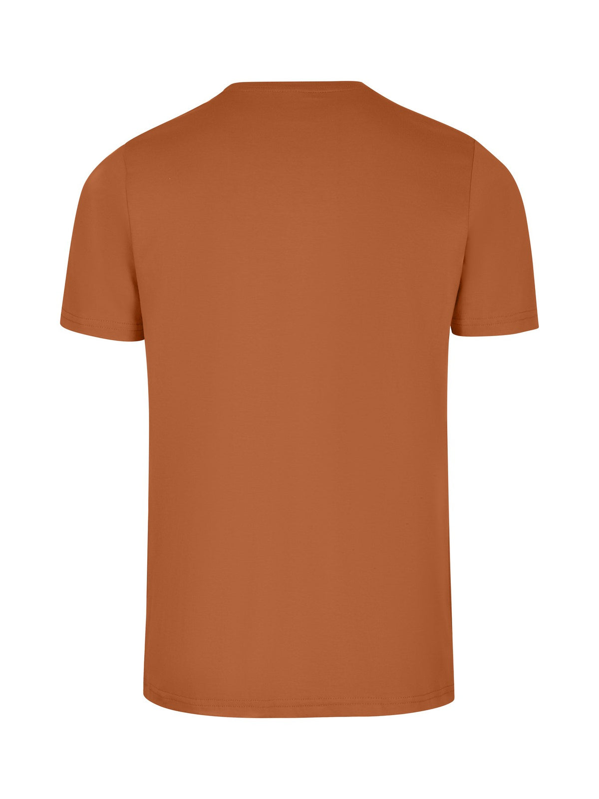 Men's Slim Fit T-shirt - Chestnut - Back