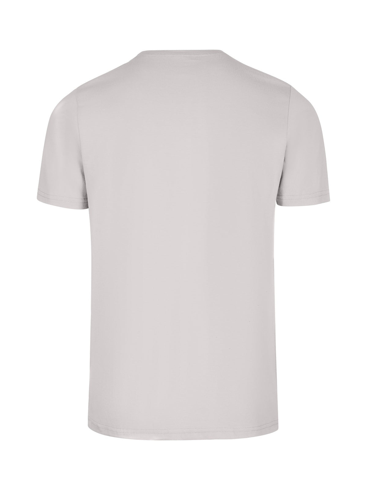Men's Slim Fit T-shirt - Ice Green - Back