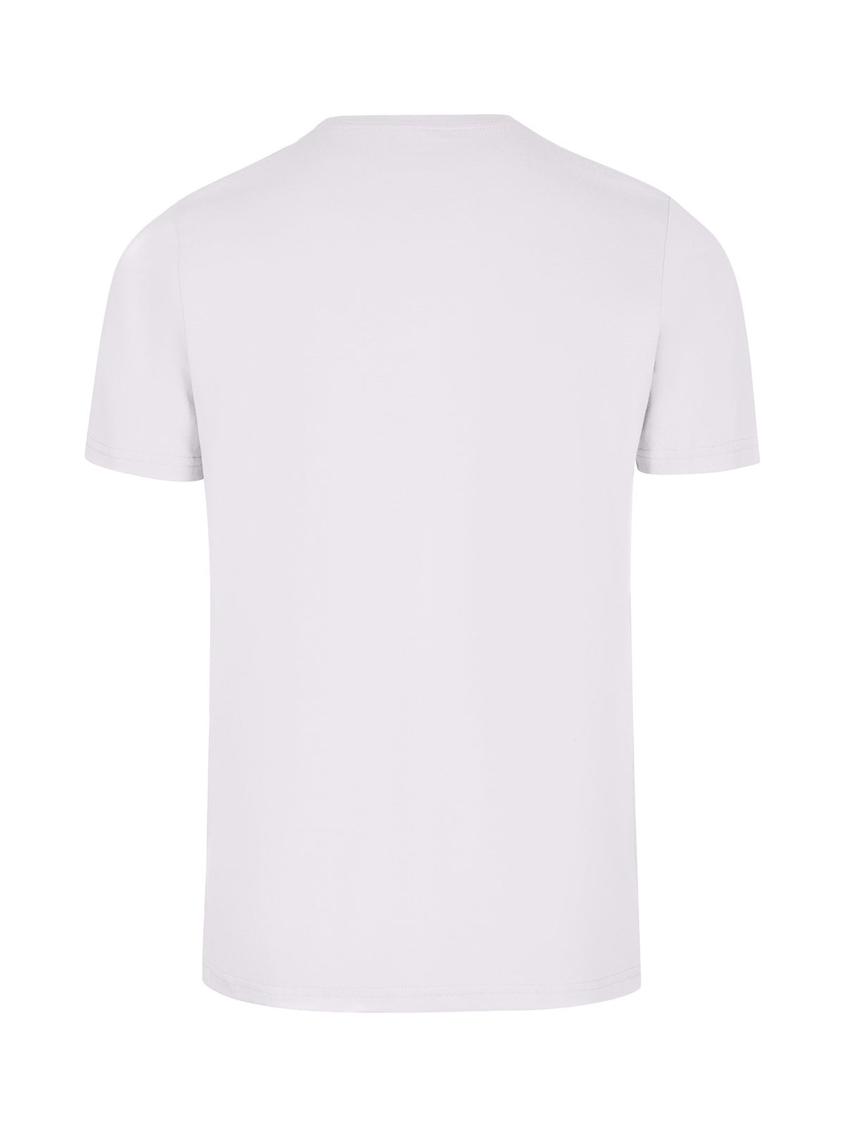 Men's Slim Fit T-shirt - Ice Grey - Back