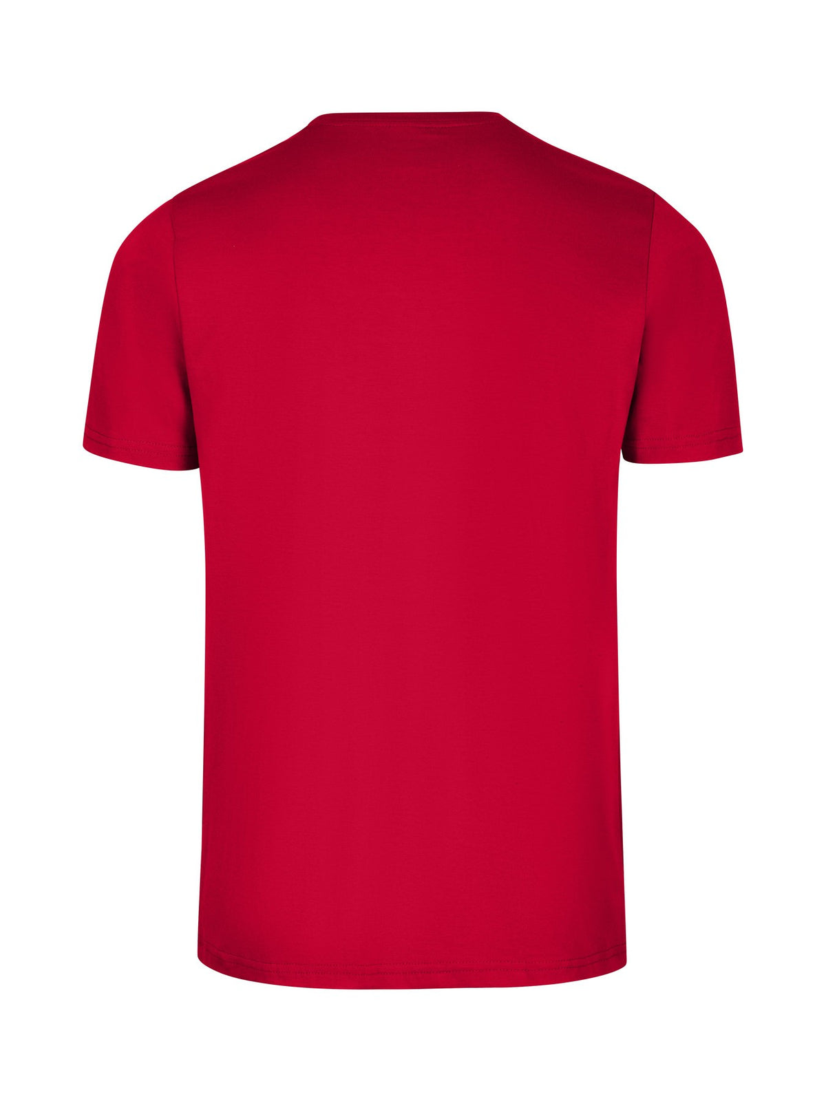 Men's Slim Fit T-shirt - Titan - Back
