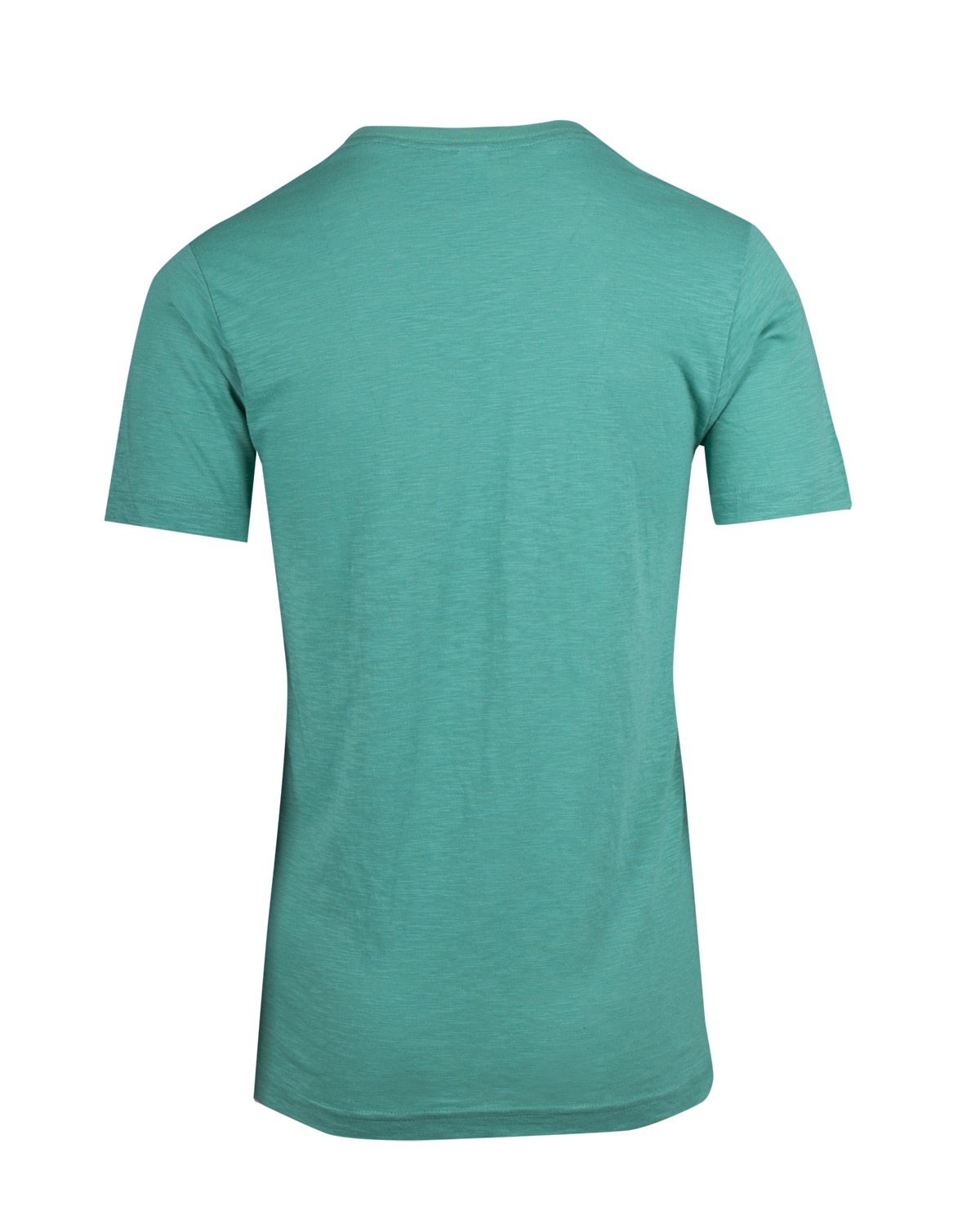 Men's  / Unisex Raw Cotton Wave  V Neck T-shirt - Fruit Green - Back